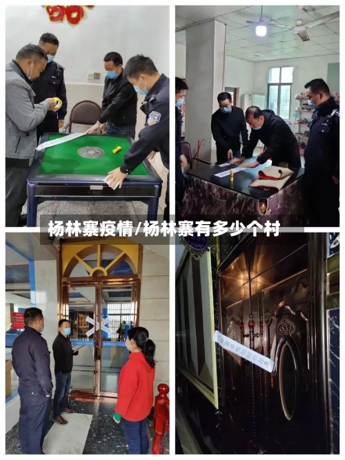 杨林寨疫情/杨林寨有多少个村-第3张图片