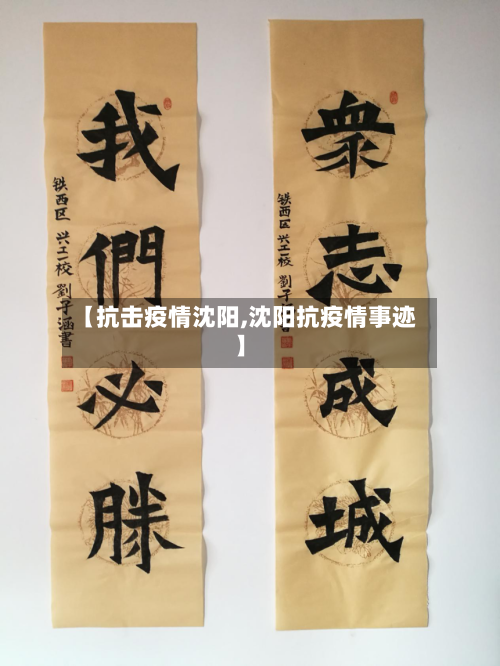 【抗击疫情沈阳,沈阳抗疫情事迹】