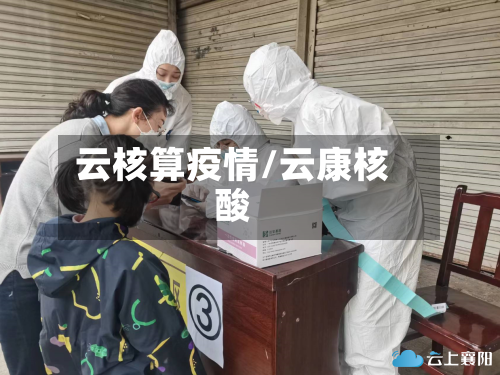云核算疫情/云康核酸