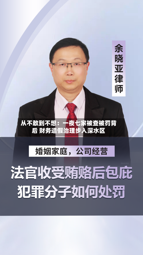 从不敢到不想：一夜七家被查被罚背后 财务造假治理步入深水区-第3张图片
