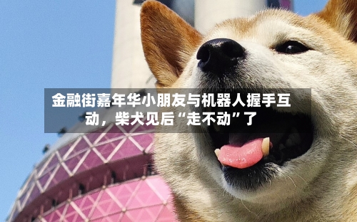 金融街嘉年华小朋友与机器人握手互动	，柴犬见后“走不动”了-第3张图片