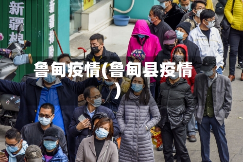 鲁甸疫情(鲁甸县疫情)