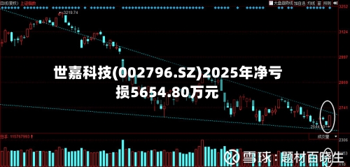 世嘉科技(002796.SZ)2025年净亏损5654.80万元