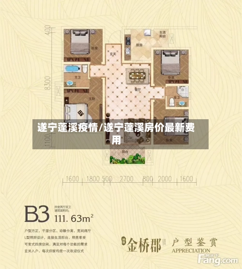 遂宁蓬溪疫情/遂宁蓬溪房价最新费用-第3张图片