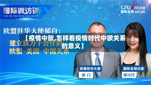 【疫情中欧,怎样看疫情时代中欧关系的意义】-第3张图片
