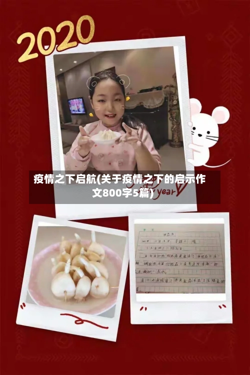 疫情之下启航(关于疫情之下的启示作文800字5篇)-第2张图片