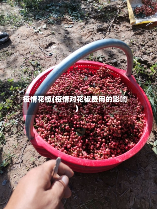 疫情花椒(疫情对花椒费用的影响)