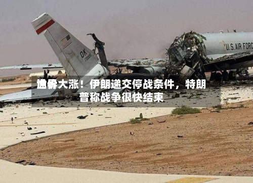 世界油价大涨！伊朗递交停战条件，特朗普称战争很快结束-第2张图片