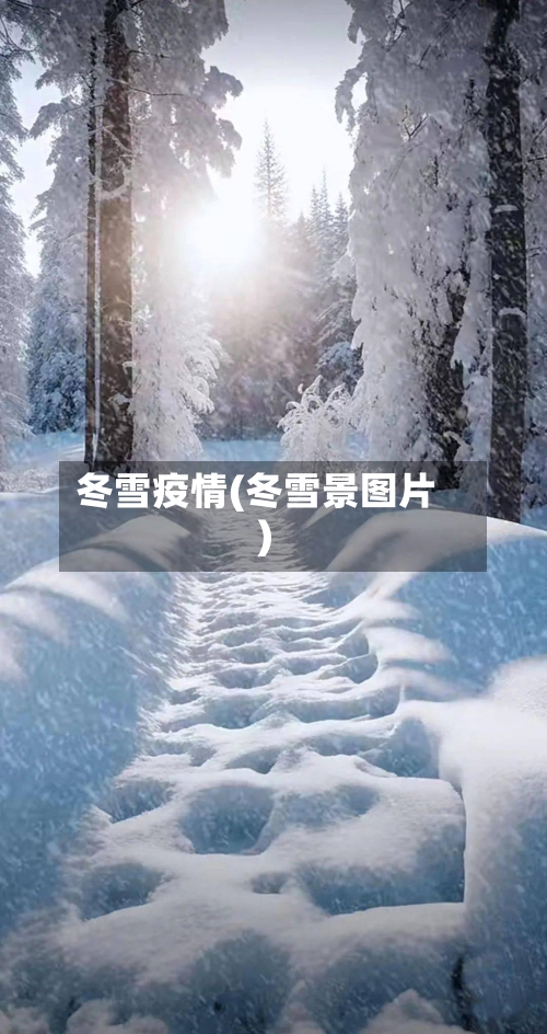 冬雪疫情(冬雪景图片)