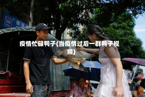 疫情忙碌鸭子(当疫情过后一群鸭子视频)-第2张图片