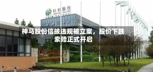 神马股份信披违规被立案，股价下跌索赔正式开启-第2张图片