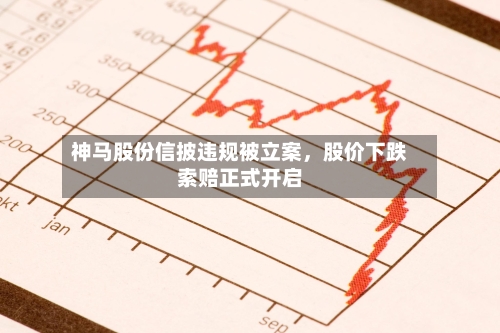神马股份信披违规被立案，股价下跌索赔正式开启-第3张图片