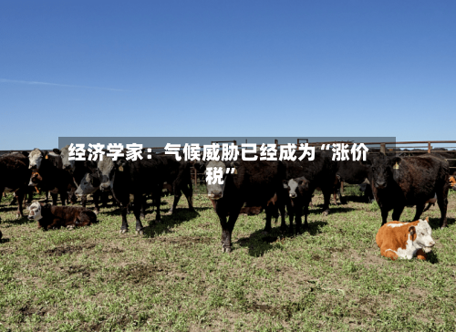 经济学家：气候威胁已经成为“涨价税”-第3张图片