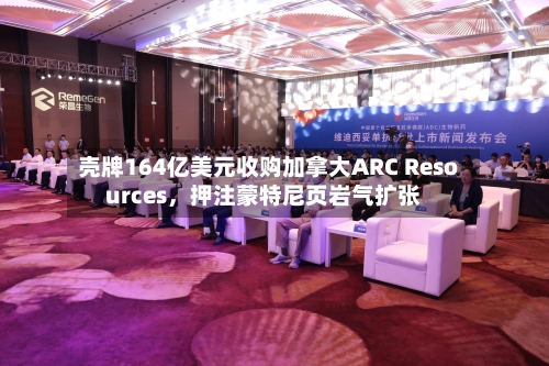 壳牌164亿美元收购加拿大ARC Resources，押注蒙特尼页岩气扩张