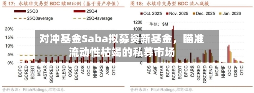 对冲基金Saba拟募资新基金	，瞄准流动性枯竭的私募市场-第2张图片