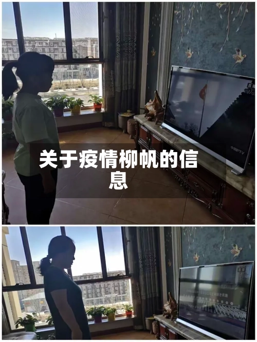 关于疫情柳帆的信息