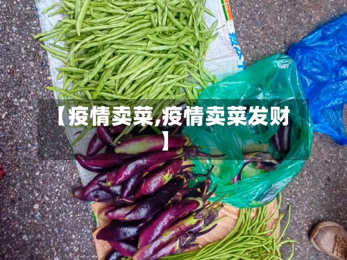 【疫情卖菜,疫情卖菜发财】