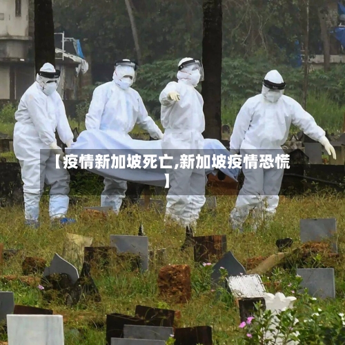 【疫情新加坡死亡,新加坡疫情恐慌】-第3张图片