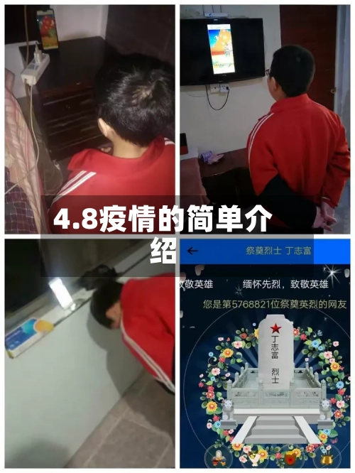 4.8疫情的简单介绍-第3张图片