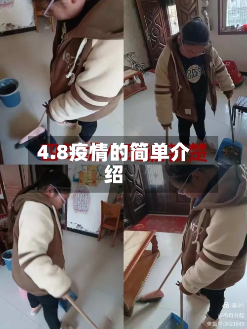 4.8疫情的简单介绍