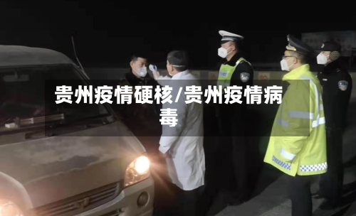 贵州疫情硬核/贵州疫情病毒