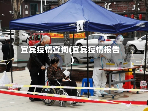 宜宾疫情查询(宜宾疫情报告)-第3张图片