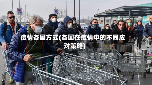 疫情各国方式(各国在疫情中的不同应对策略)