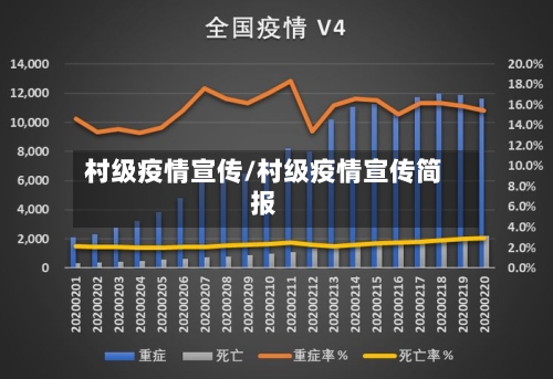 村级疫情宣传/村级疫情宣传简报-第2张图片