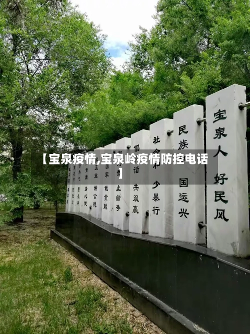 【宝泉疫情,宝泉岭疫情防控电话】