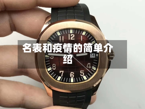 名表和疫情的简单介绍-第3张图片