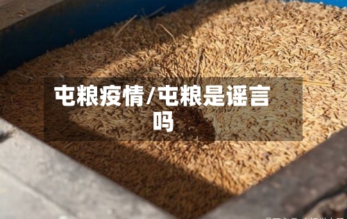 屯粮疫情/屯粮是谣言吗