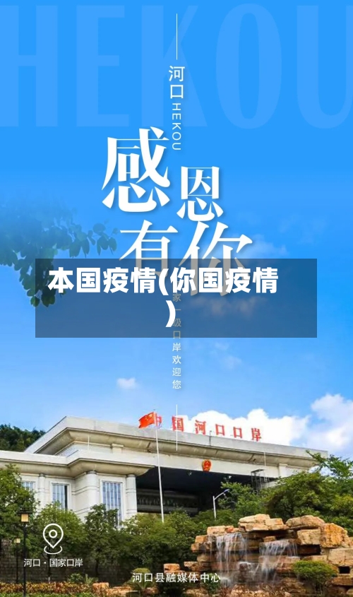 本国疫情(你国疫情)