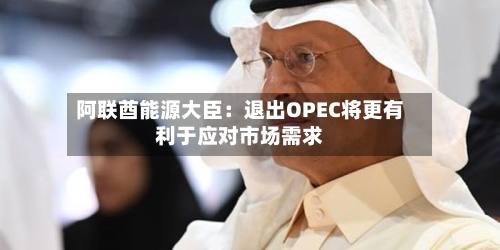 阿联酋能源大臣：退出OPEC将更有利于应对市场需求