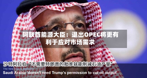 阿联酋能源大臣：退出OPEC将更有利于应对市场需求-第2张图片