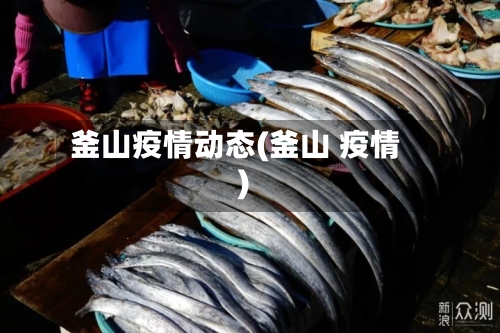 釜山疫情动态(釜山 疫情)