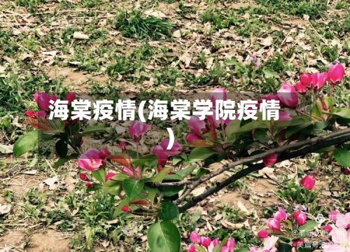 海棠疫情(海棠学院疫情)-第2张图片
