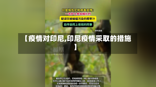 【疫情对印尼,印尼疫情采取的措施】-第2张图片