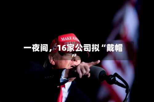 一夜间，16家公司拟“戴帽”-第3张图片