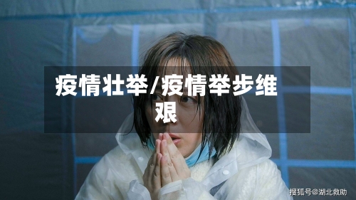 疫情壮举/疫情举步维艰-第3张图片