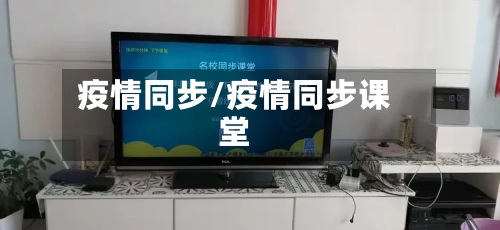 疫情同步/疫情同步课堂-第2张图片