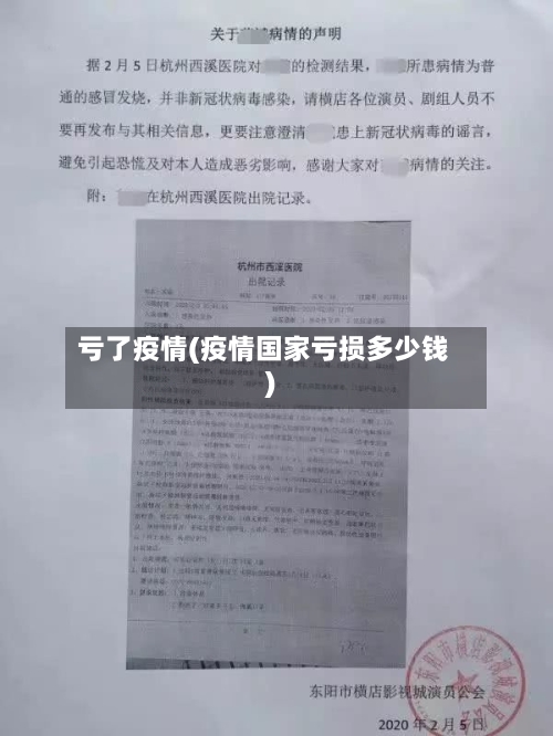 亏了疫情(疫情国家亏损多少钱)-第3张图片