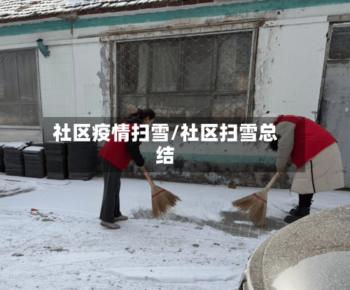社区疫情扫雪/社区扫雪总结-第2张图片