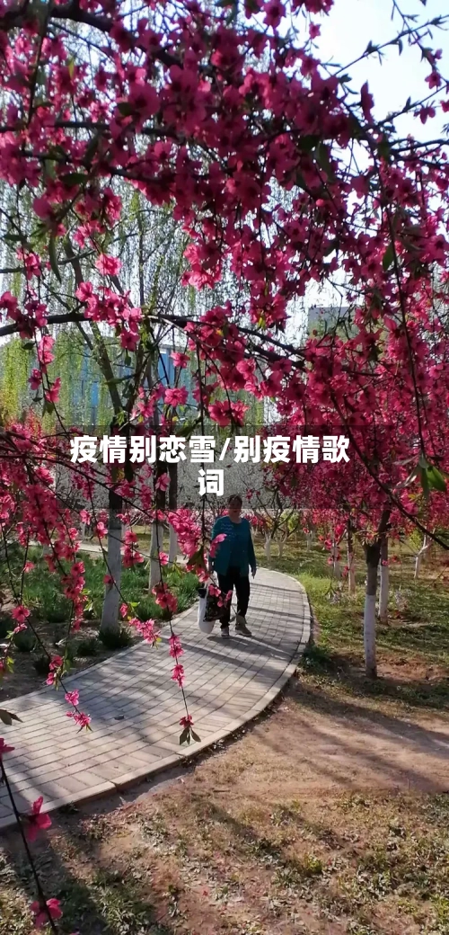 疫情别恋雪/别疫情歌词