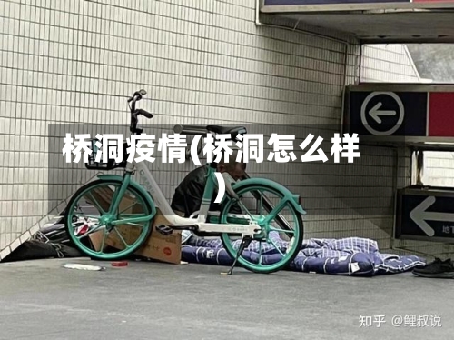 桥洞疫情(桥洞怎么样)