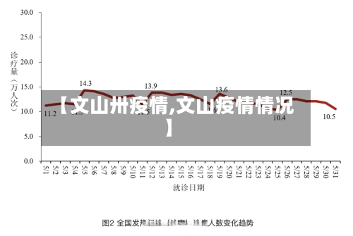 【文山卅疫情,文山疫情情况】