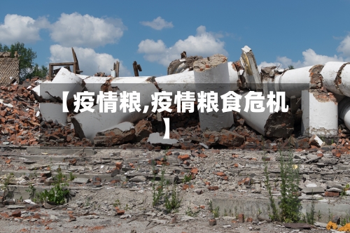 【疫情粮,疫情粮食危机】