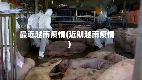 最近越南疫情(近期越南疫情)-第3张图片