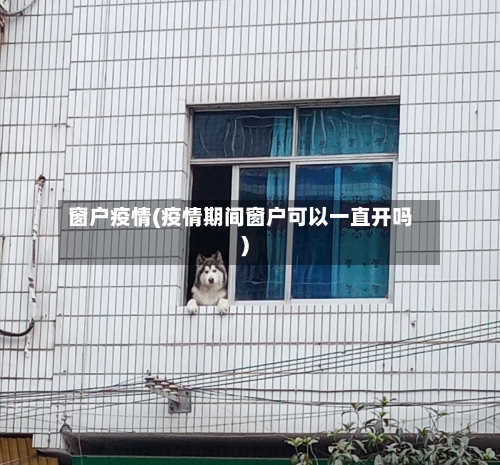 窗户疫情(疫情期间窗户可以一直开吗)-第3张图片