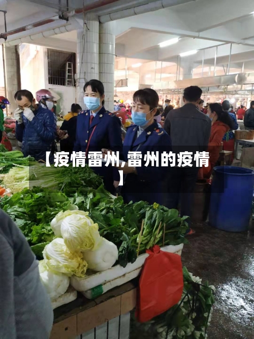 【疫情雷州,雷州的疫情】