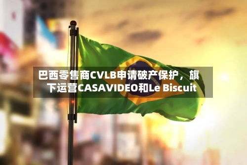 巴西零售商CVLB申请破产保护，旗下运营CASAVIDEO和Le Biscuit-第2张图片